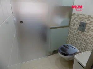 Prodej bytu 1+kk, Králův Dvůr - Počaply, Pod Dálnicí, 24 m2