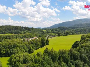 Prodej louky, Frýdlant nad Ostravicí - Lubno, 9244 m2