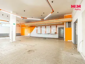Prodej obchodního prostoru, Český Těšín, Slezská, 900 m2