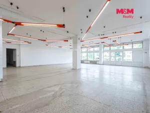Prodej obchodního prostoru, Český Těšín, Slezská, 900 m2