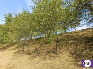 Prodej sadu/vinice, Synkov-Slemeno, 1229 m2