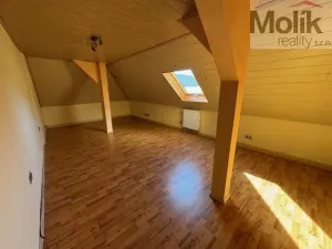 Pronájem ubytování, Český Jiřetín, 1753 m2