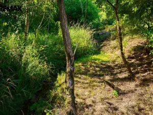 Prodej pozemku pro bydlení, Deštné v Orlických horách, 1171 m2