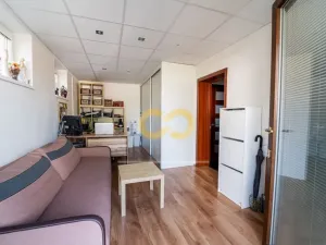 Prodej rodinného domu, Řehlovice, 160 m2