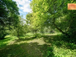 Prodej pozemku pro bydlení, Březina, 2911 m2