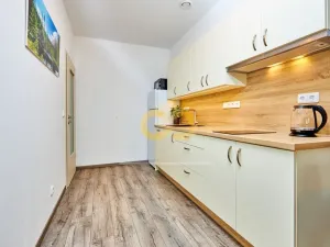 Prodej bytu 2+kk, Zdíkov - Zdíkovec, 105 m2