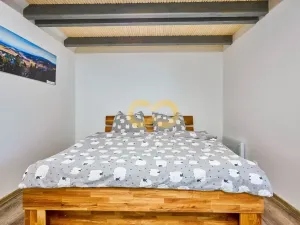Prodej bytu 2+kk, Zdíkov - Zdíkovec, 105 m2