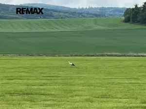 Prodej pozemku pro bydlení, Chocenice, 4491 m2
