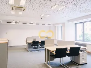Pronájem kanceláře, Písek - Vnitřní Město, Alšovo nám., 200 m2