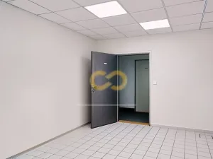 Pronájem kanceláře, Písek - Vnitřní Město, Alšovo nám., 200 m2