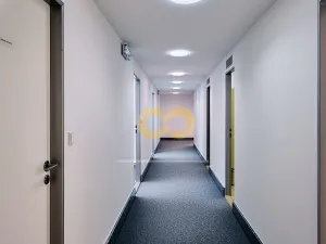 Pronájem kanceláře, Písek - Vnitřní Město, Alšovo nám., 200 m2