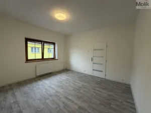 Pronájem vícegeneračního domu, Ústí nad Labem - Svádov, 28. října, 110 m2