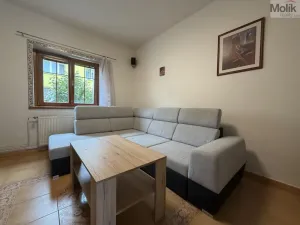 Pronájem vícegeneračního domu, Ústí nad Labem - Svádov, 28. října, 110 m2