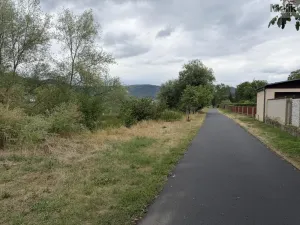 Pronájem vícegeneračního domu, Ústí nad Labem - Svádov, 28. října, 110 m2