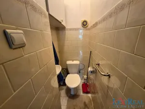 Prodej bytu 3+1, Praha - Vinohrady, Lužická, 95 m2
