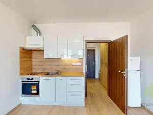Pronájem bytu 1+kk, Olomouc, Wolkerova, 30 m2