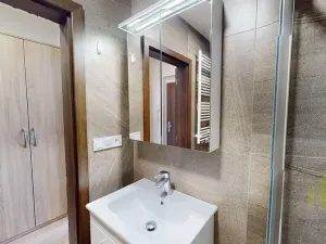 Pronájem bytu 1+kk, Olomouc, Wolkerova, 30 m2