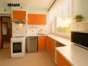 Prodej rodinného domu, Kralovice, Týnecká, 236 m2