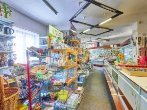 Prodej obchodního prostoru, Doksy, Panská, 270 m2