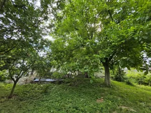 Prodej rodinného domu, Březník, 240 m2