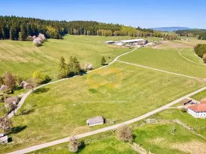 Prodej pozemku pro bydlení, Černá v Pošumaví, 2808 m2