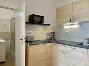 Pronájem bytu 2+1, Praha - Žižkov, Přemyslovská, 42 m2