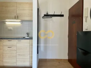 Pronájem bytu 2+1, Praha - Žižkov, Přemyslovská, 42 m2