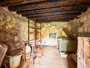 Prodej chalupy, Nové Hrady - Štiptoň, 547 m2