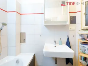Prodej bytu 2+1, Praha - Nusle, Pod Terebkou, 80 m2