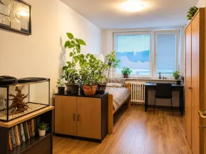 Prodej bytu 3+1, Praha - Libeň, Matějkova, 76 m2