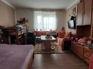 Prodej bytu 1+1, Cheb, Obětí nacismu, 42 m2