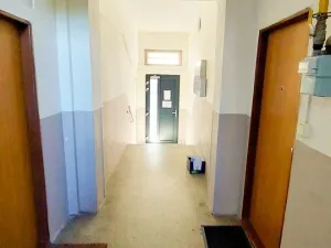 Prodej bytu 1+1, Cheb, Obětí nacismu, 42 m2