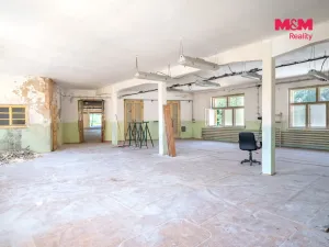 Prodej výrobních prostor, Kolinec, 2640 m2