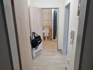 Pronájem bytu 1+kk, Teplice, Emilie Dvořákové, 28 m2