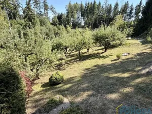 Prodej chaty, Vysoké Mýto, Spálenec, 37 m2