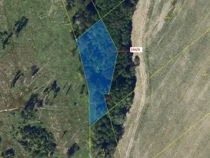 Dražba lesa, Krásné, 2471 m2