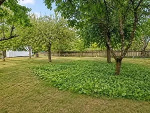 Prodej chaty, Žernovník, 40 m2