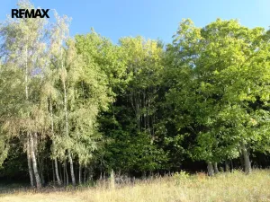 Prodej lesa, Hlavňovice, 28701 m2