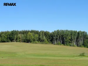 Prodej lesa, Hlavňovice, 28701 m2