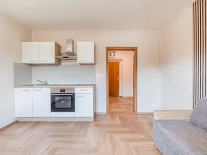 Pronájem bytu 1+kk, Mariánské Lázně, třída Vítězství, 22 m2