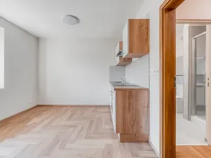 Pronájem bytu 1+kk, Mariánské Lázně, třída Vítězství, 22 m2