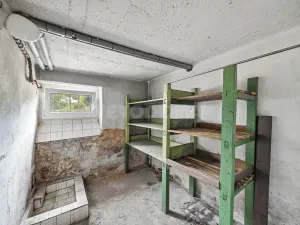 Prodej rodinného domu, Plzeň, Revoluční, 210 m2