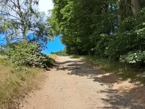 Prodej lesa, Hlavňovice, 5194 m2