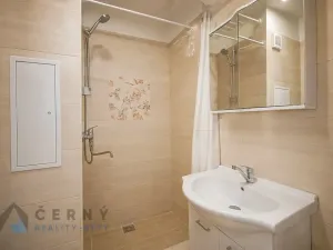 Pronájem bytu 1+1, Liberec, Bezová, 42 m2