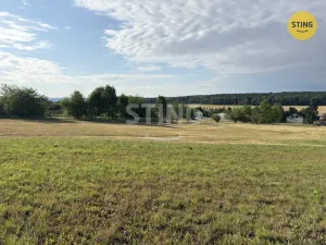 Prodej pozemku pro bydlení, Litvínovice - Mokré, 5523 m2