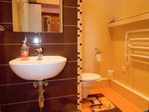 Pronájem bytu 1+1, Klokoty, Petrohradská, 40 m2