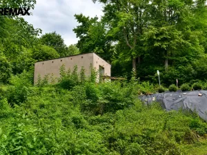 Prodej chaty, Zlatá Olešnice, 30 m2