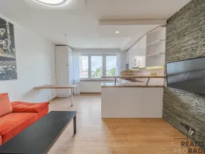 Pronájem bytu 2+kk, Ostrava - Hrabůvka, U Haldy, 38 m2