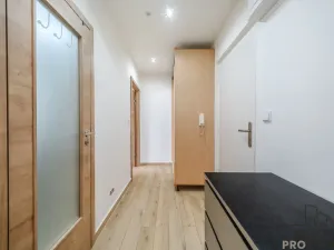 Pronájem bytu 2+kk, Ostrava - Hrabůvka, U Haldy, 38 m2