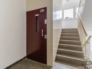 Pronájem bytu 2+kk, Ostrava - Hrabůvka, U Haldy, 38 m2